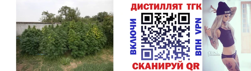 Дистиллят ТГК Wax  продажа наркотиков  Игарка 