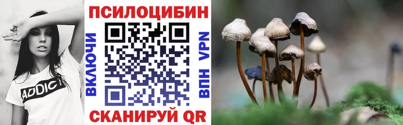 где можно купить Игарка Псилоцибиновые грибы мицелий
